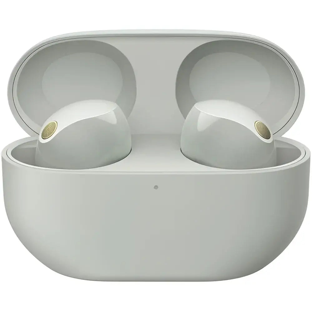 Sony WF-1000XM5 Noise-Canceling True Wireless In-Ear Headphones (Silver) image 1